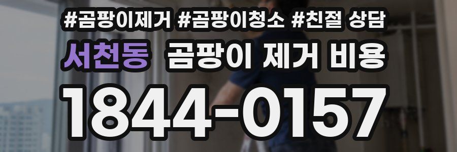 서천동 곰팡이 제거 비용