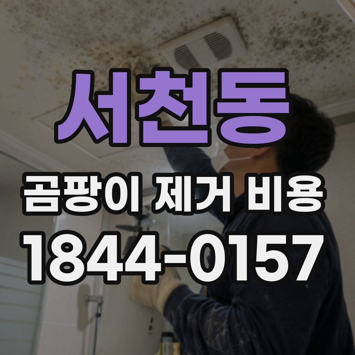 서천동 곰팡이 제거 비용