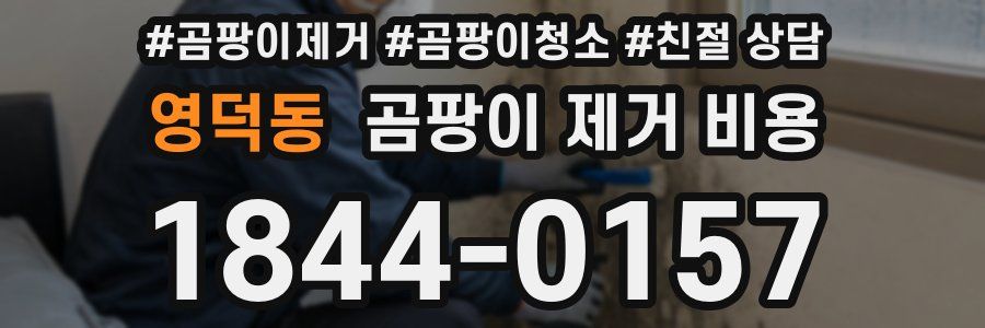 영덕동 곰팡이 제거 비용