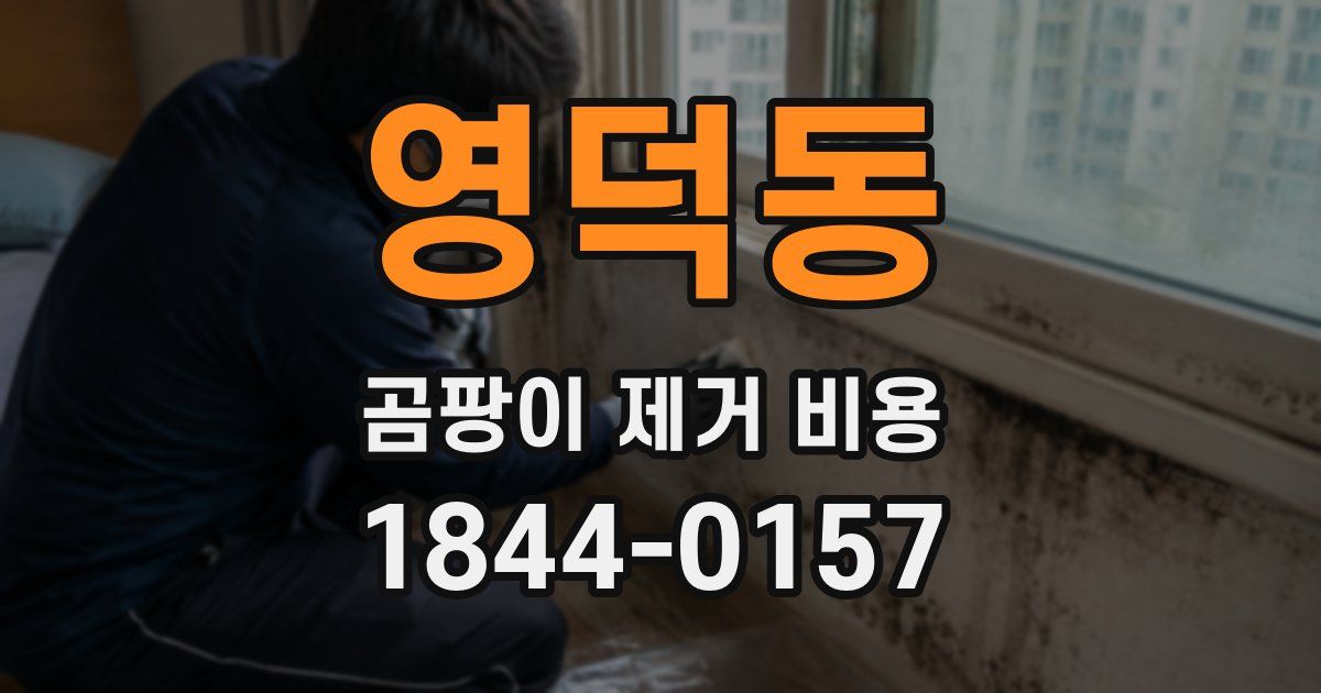 영덕동 곰팡이 제거 비용