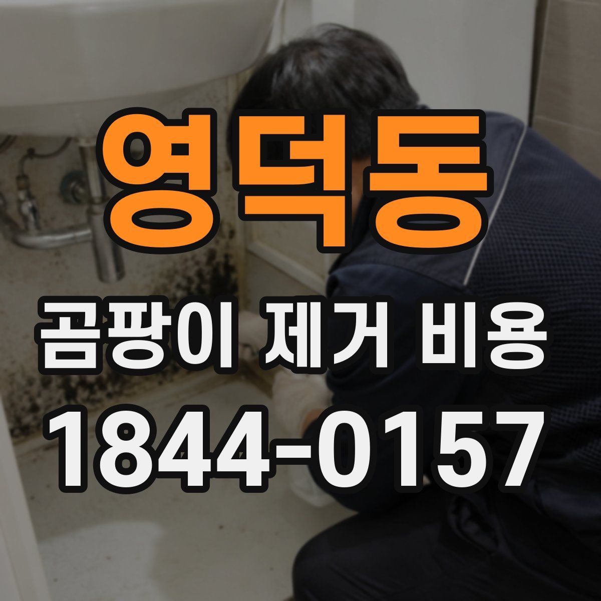 영덕동 곰팡이 제거 비용