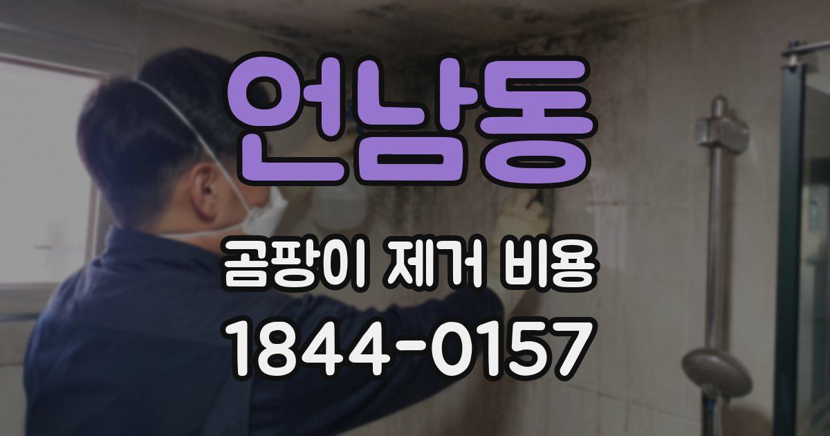 언남동 곰팡이 제거 비용