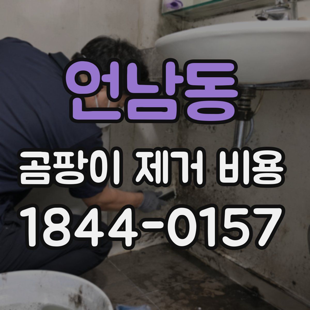 언남동 곰팡이 제거 비용