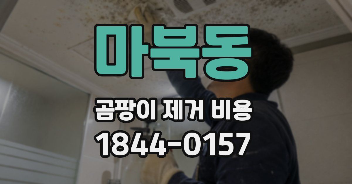 마북동 곰팡이 제거 비용