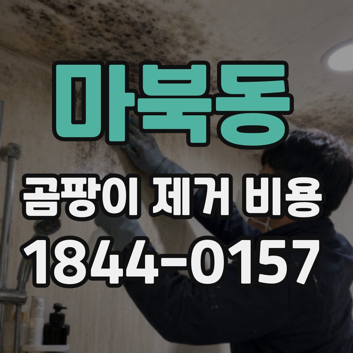 마북동 곰팡이 제거 비용