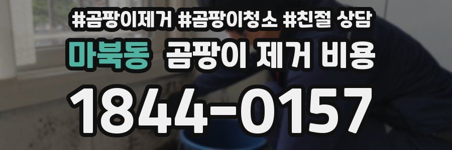 마북동 곰팡이 제거 비용