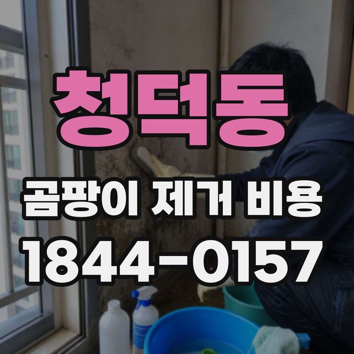 청덕동 곰팡이 제거 비용