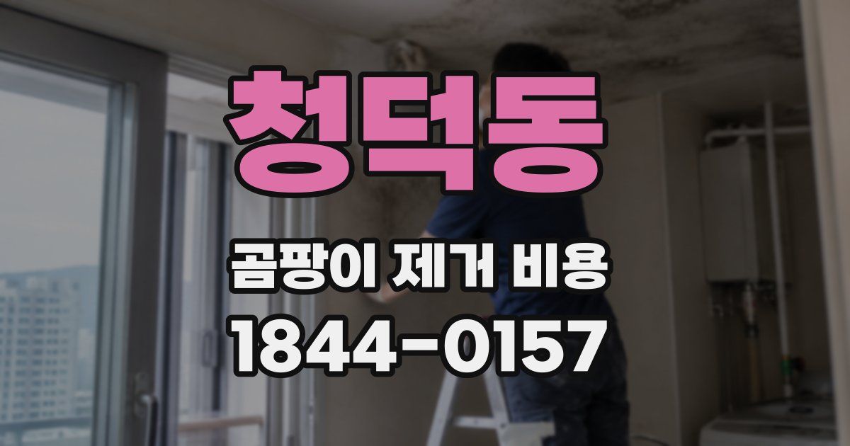청덕동 곰팡이 제거 비용