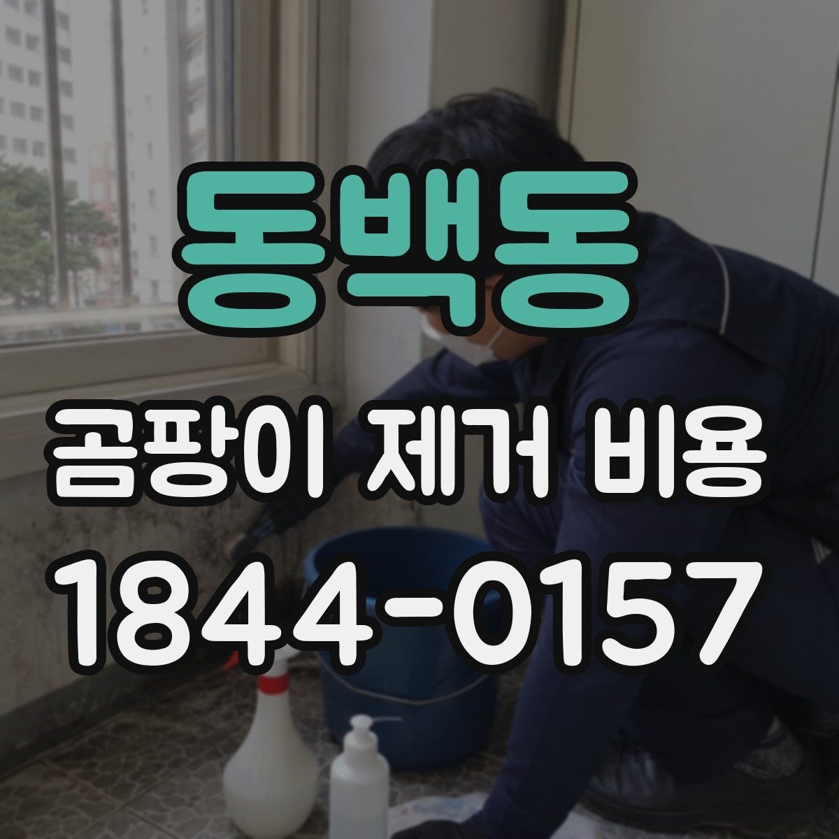 동백동 곰팡이 제거 비용 문의부터 시공까지 진행 순서