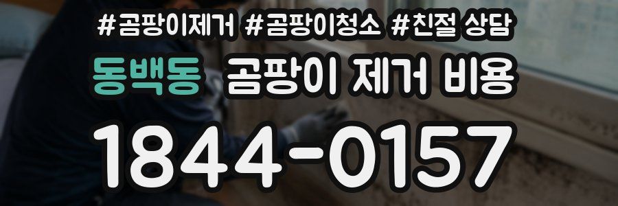 동백동 곰팡이 제거 비용