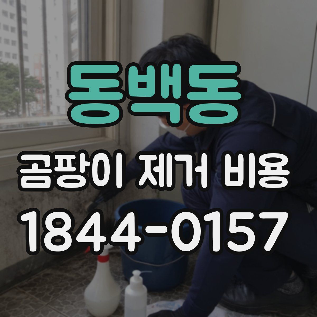 동백동 곰팡이 제거 비용