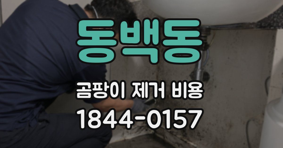 동백동 곰팡이 제거 비용