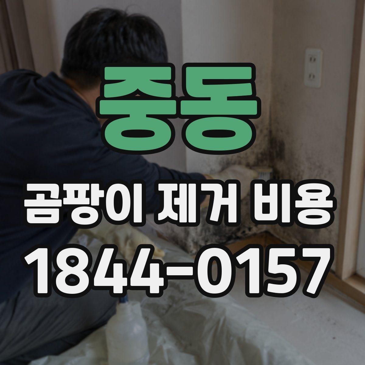 중동 곰팡이 제거 비용 오래된 집에서 더 신경 써야 할 점