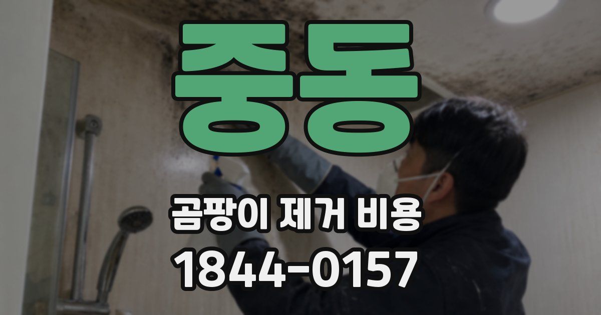중동 곰팡이 제거 비용