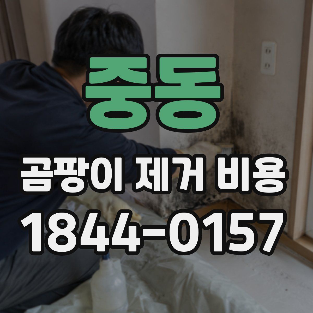 중동 곰팡이 제거 비용