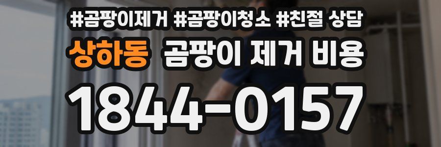 상하동 곰팡이 제거 비용