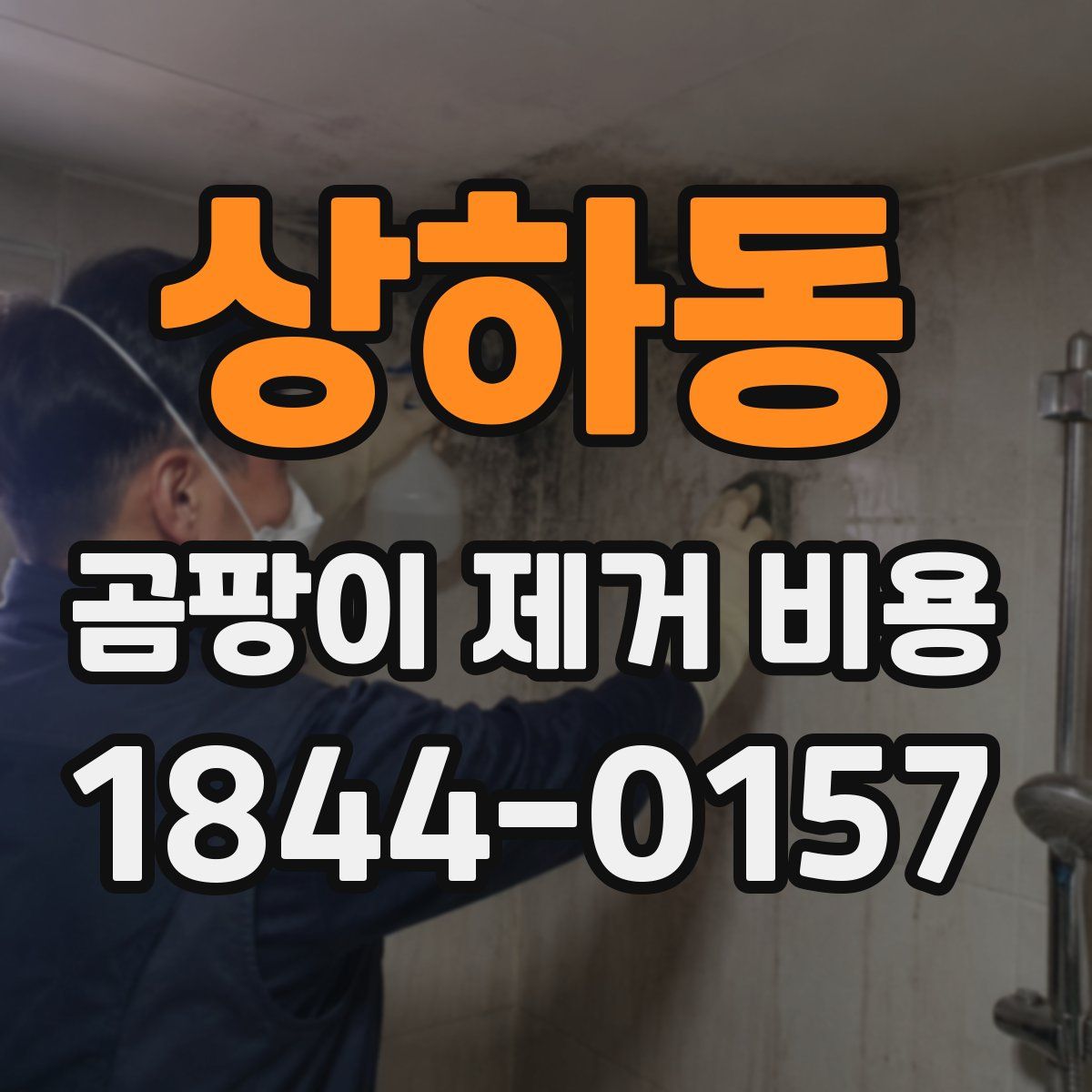 상하동 곰팡이 제거 비용