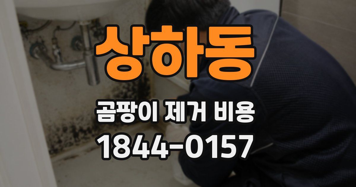 상하동 곰팡이 제거 비용