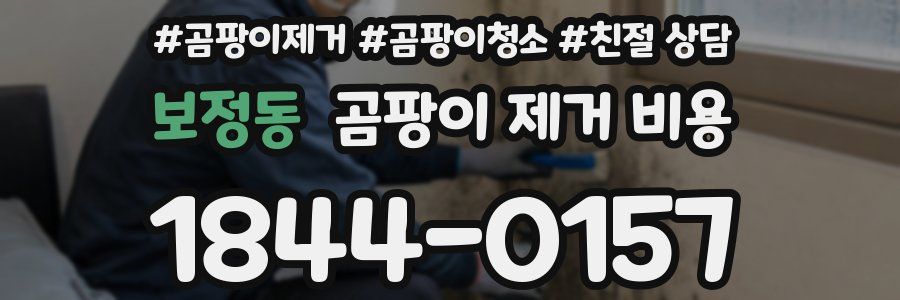 보정동 곰팡이 제거 비용