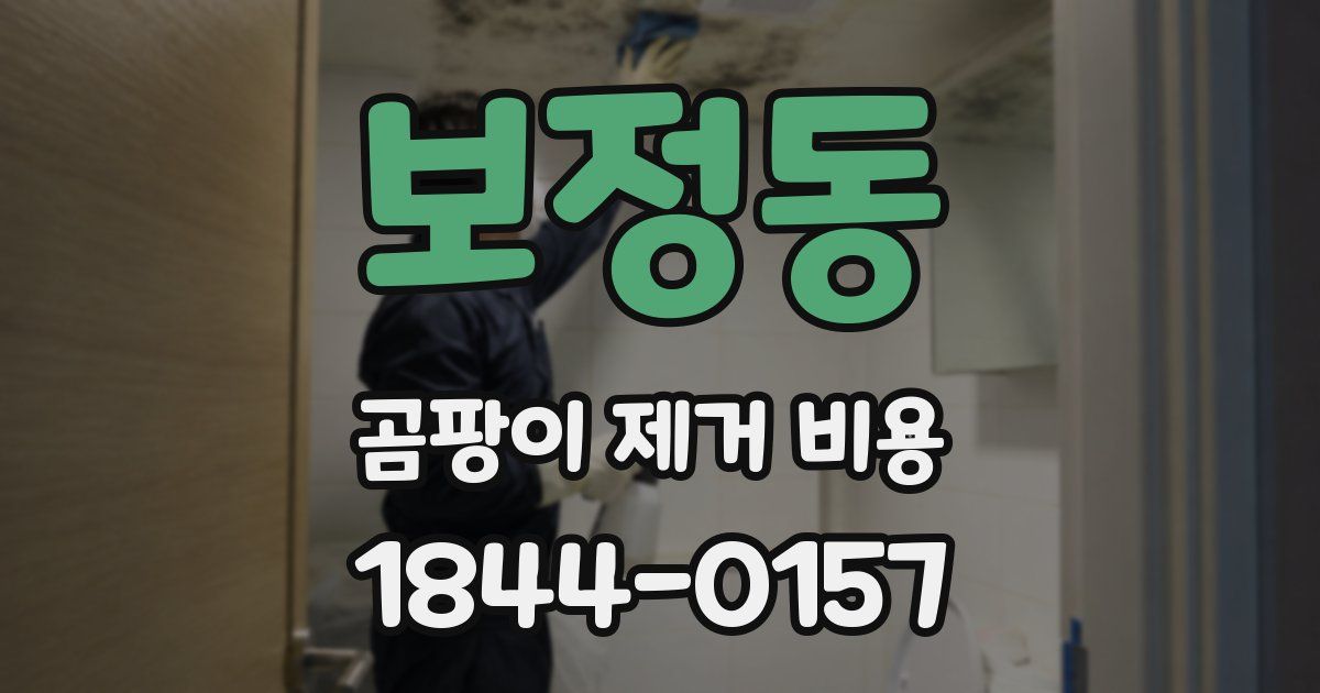보정동 곰팡이 제거 비용