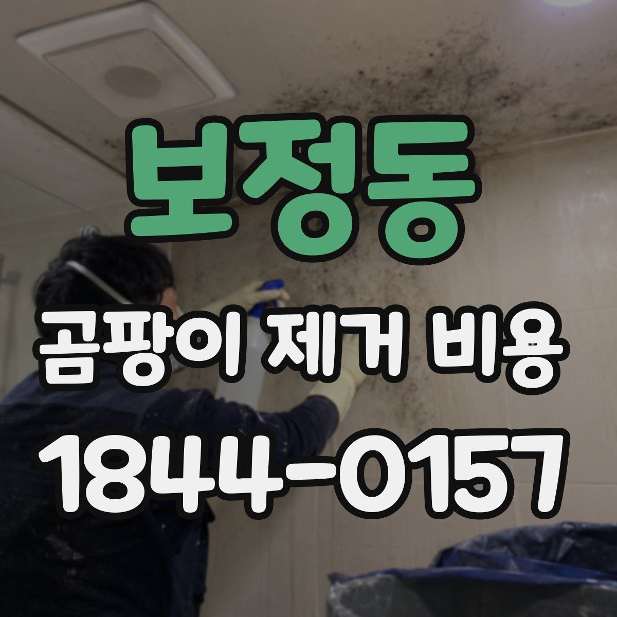 보정동 곰팡이 제거 비용