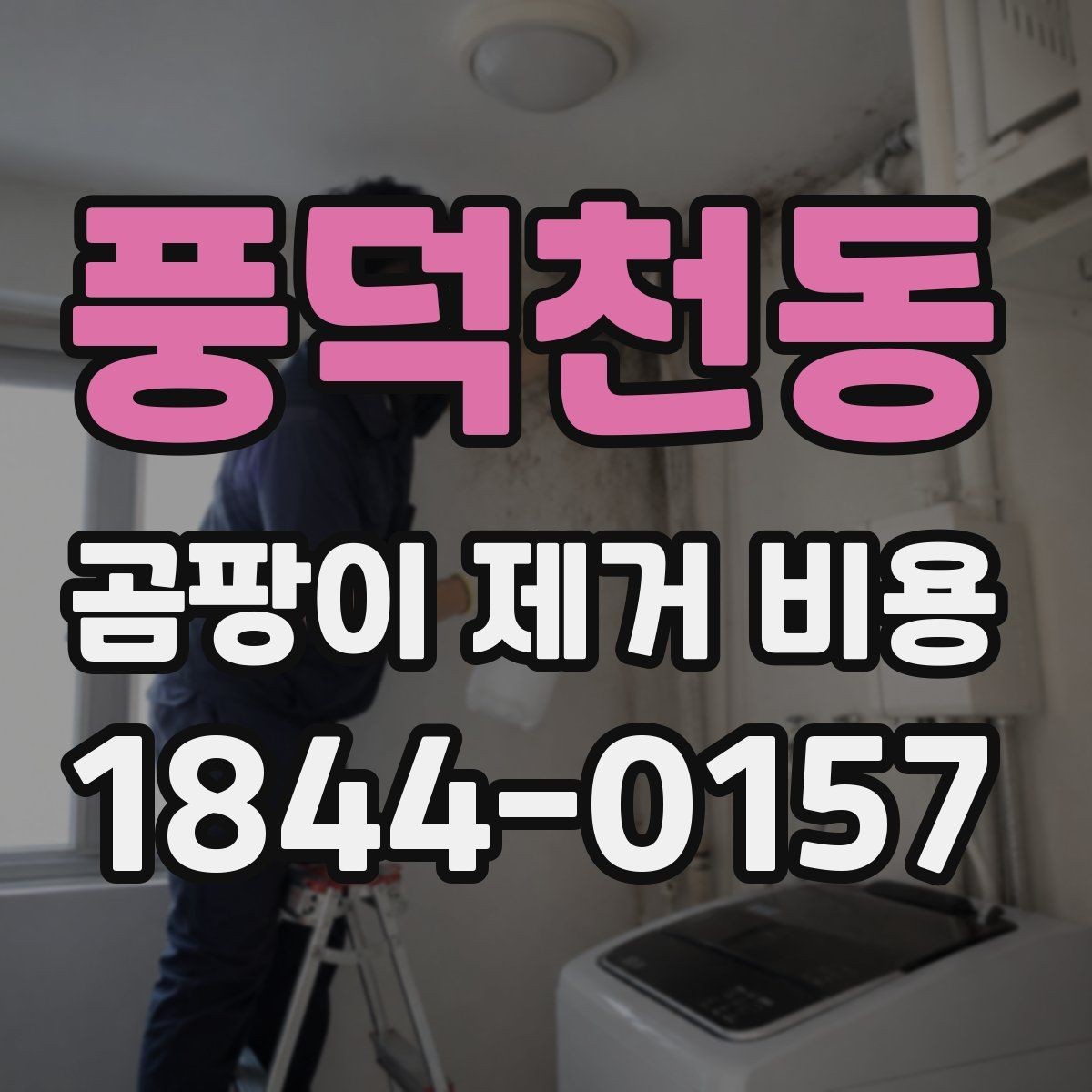 풍덕천동 곰팡이 제거 비용 업체 후기를 볼 때 주의할 점