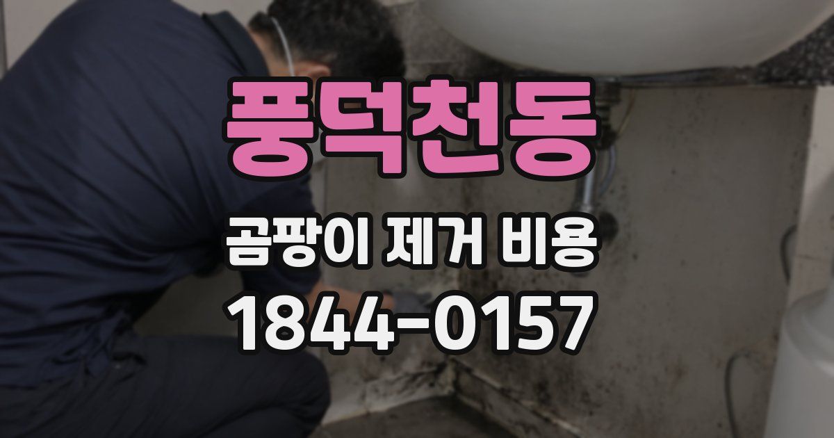 풍덕천동 곰팡이 제거 비용