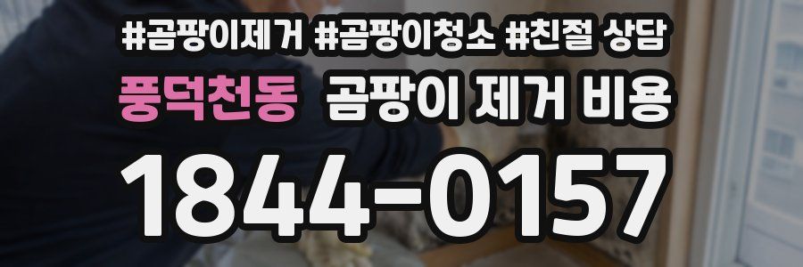 풍덕천동 곰팡이 제거 비용