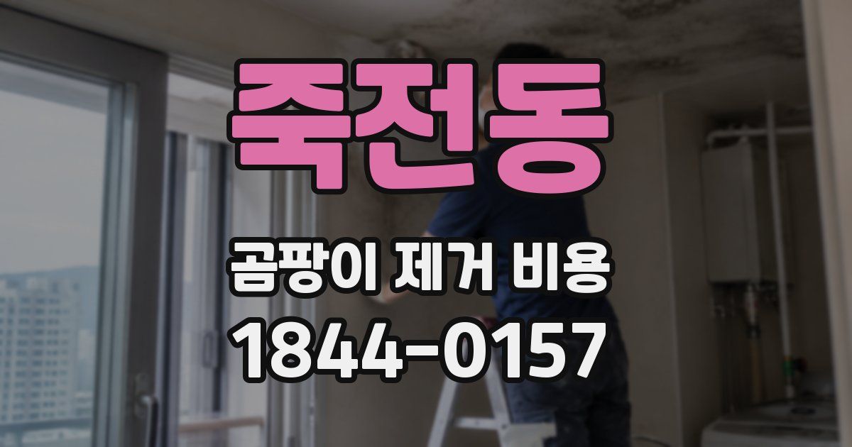 죽전동 곰팡이 제거 비용