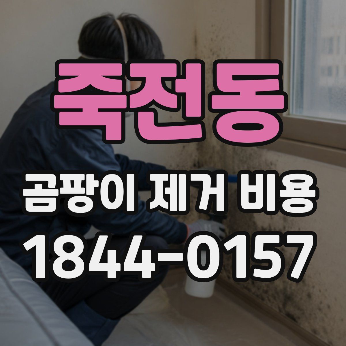 죽전동 곰팡이 제거 비용