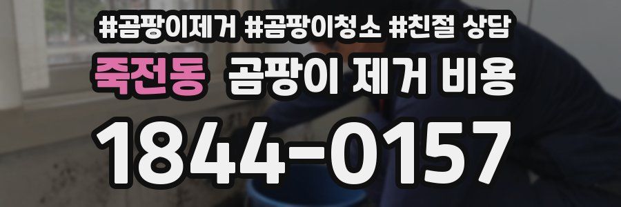 죽전동 곰팡이 제거 비용