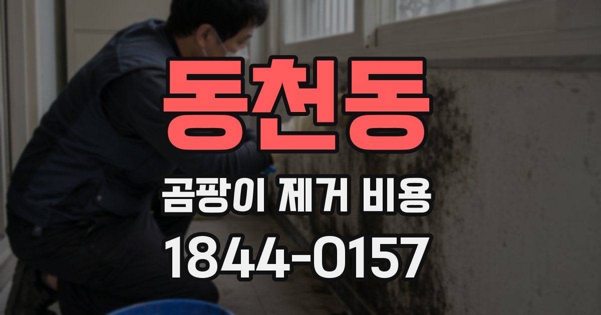 동천동 곰팡이 제거 비용