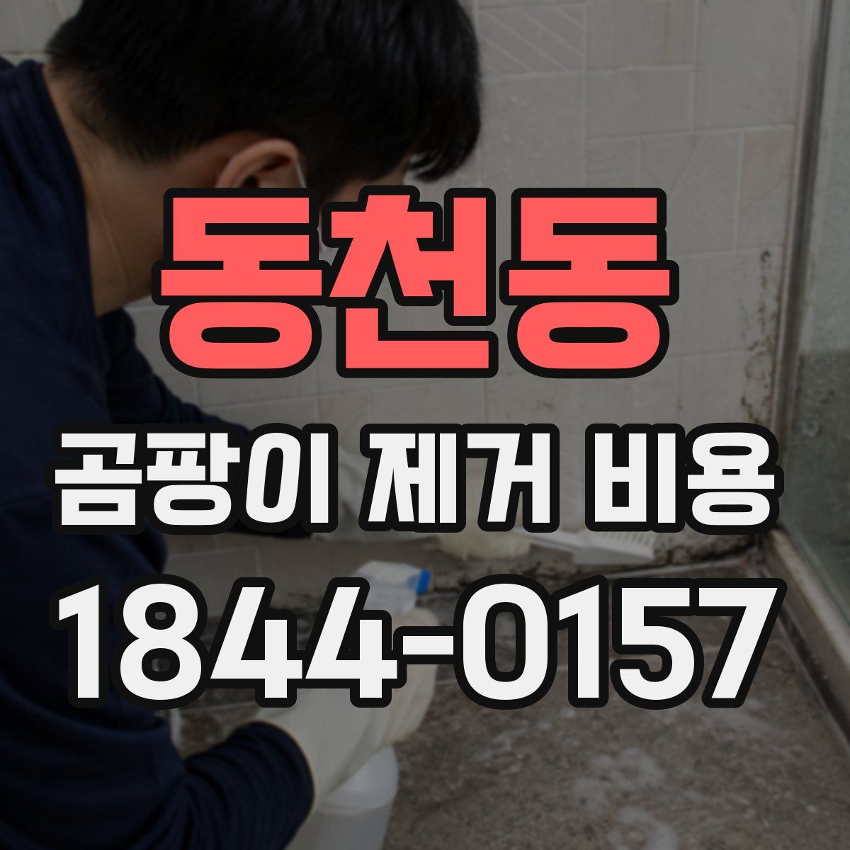 동천동 곰팡이 제거 비용