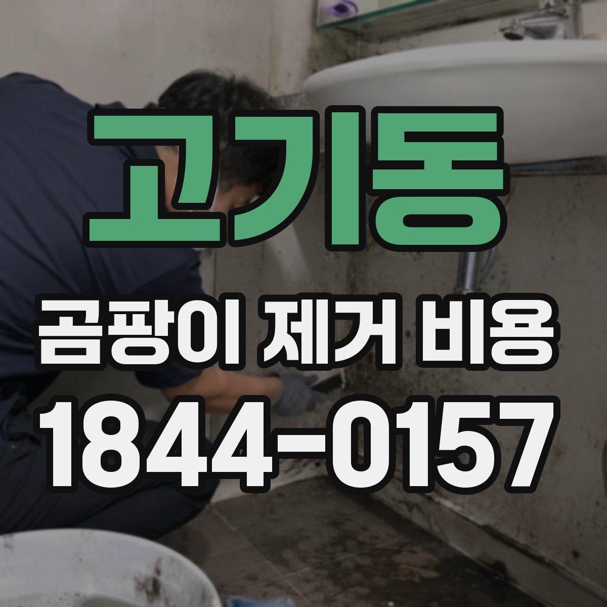 고기동 곰팡이 제거 비용