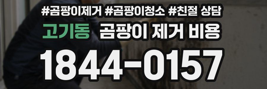 고기동 곰팡이 제거 비용