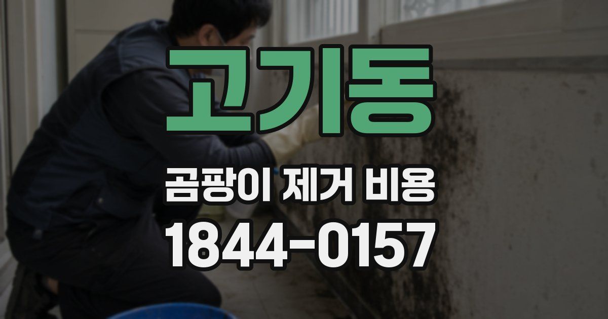 고기동 곰팡이 제거 비용