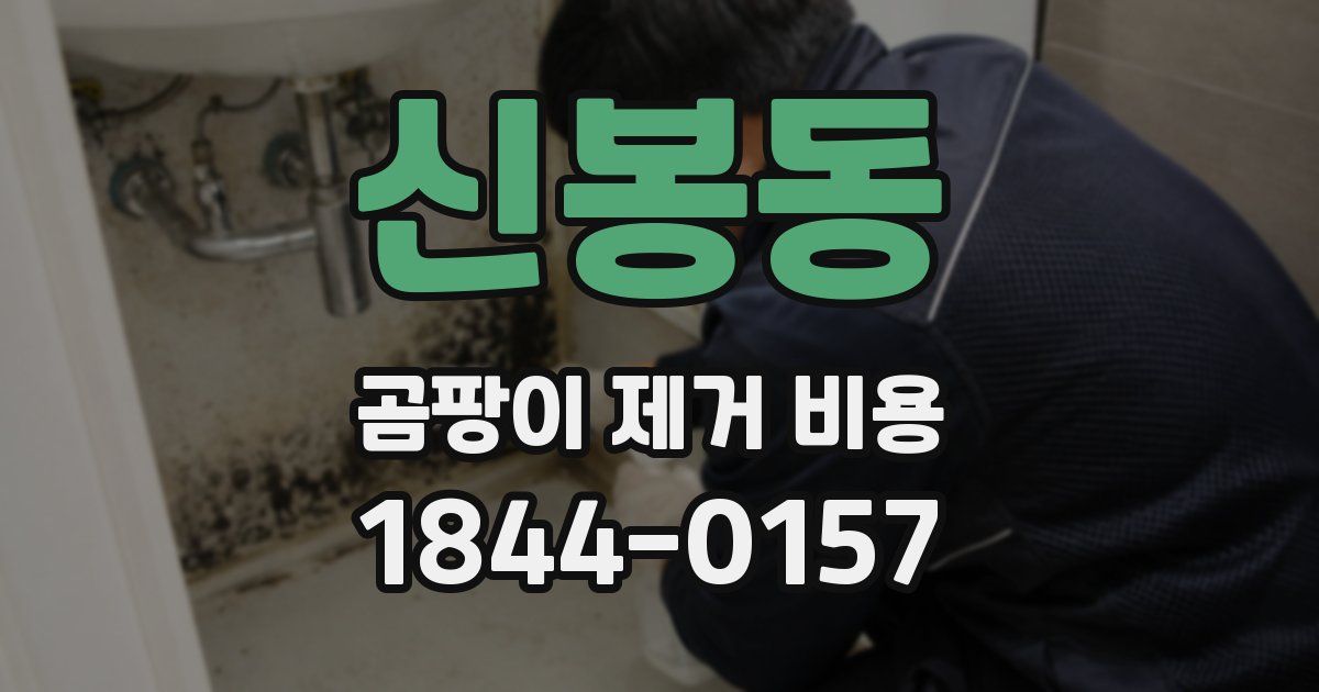 신봉동 곰팡이 제거 비용