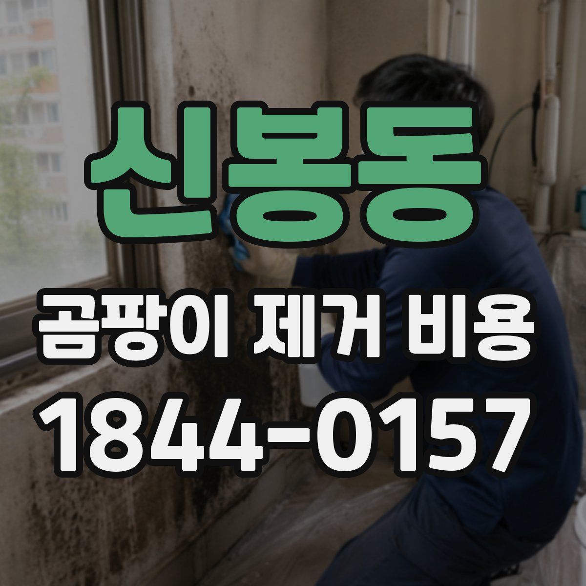 신봉동 곰팡이 제거 비용