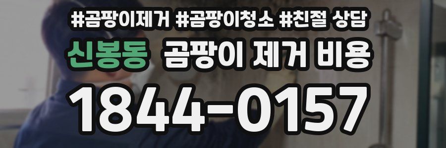 신봉동 곰팡이 제거 비용