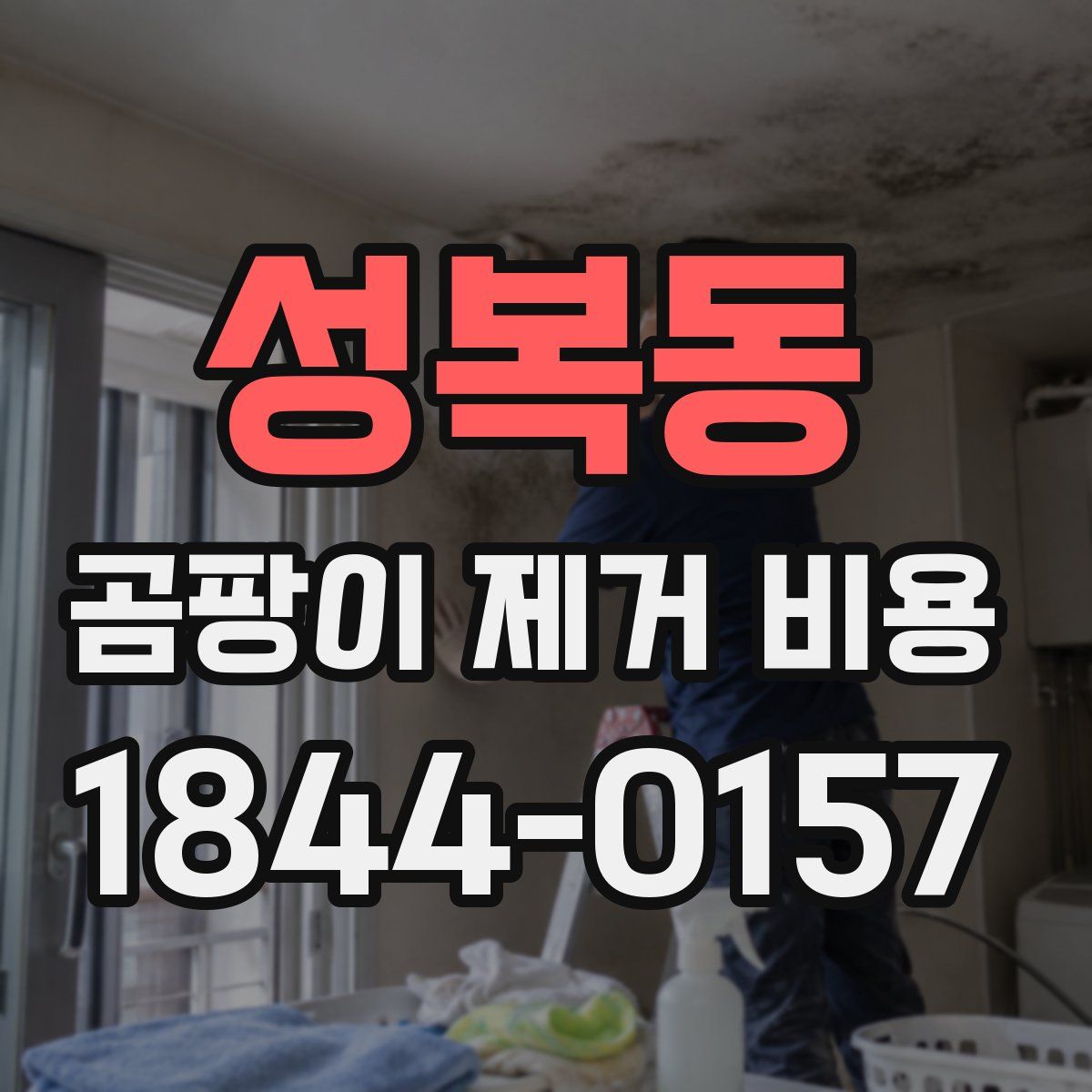 성복동 곰팡이 제거 비용