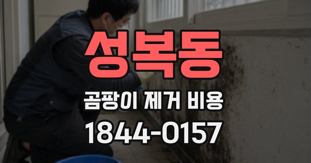 성복동 곰팡이 제거 비용