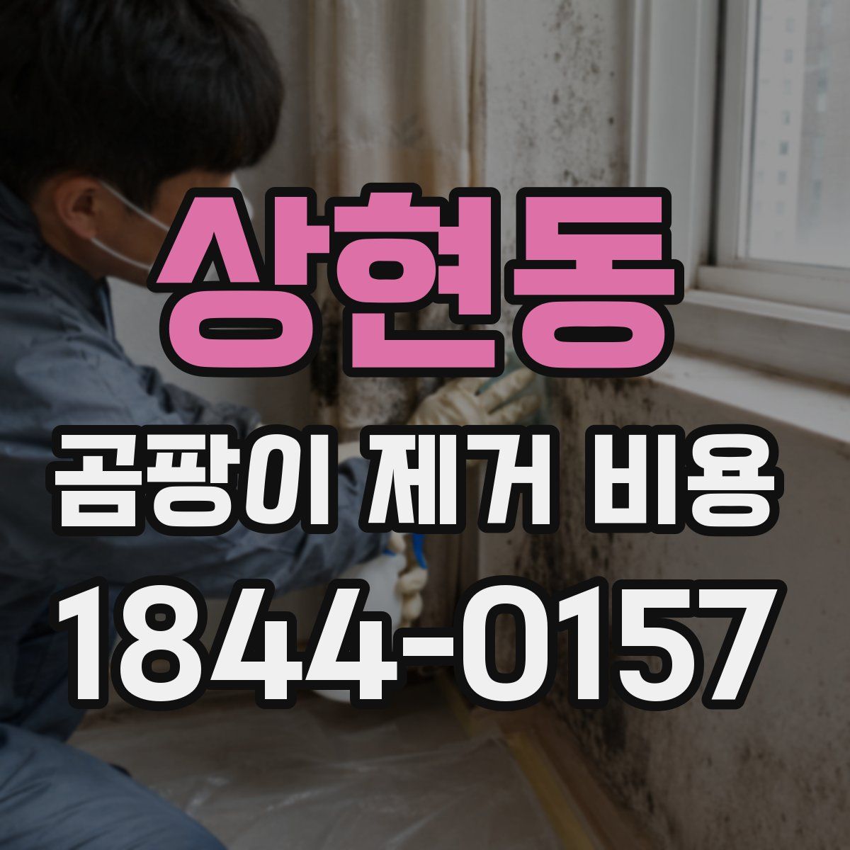 상현동 곰팡이 제거 비용