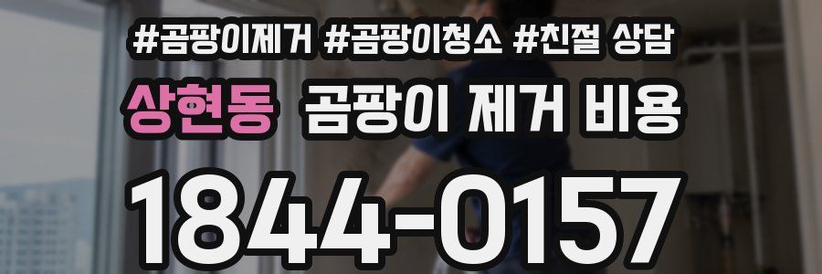 상현동 곰팡이 제거 비용