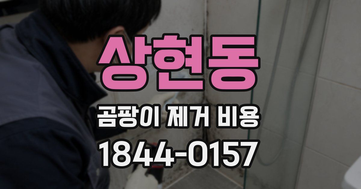 상현동 곰팡이 제거 비용