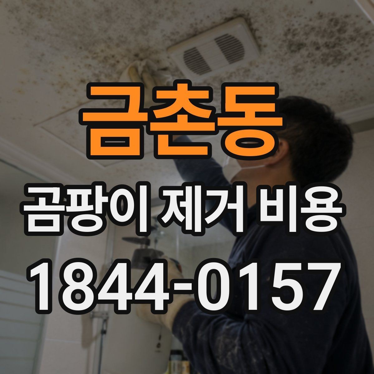 금촌동 곰팡이 제거 비용 생활 공간별 시공 방식 살펴보기