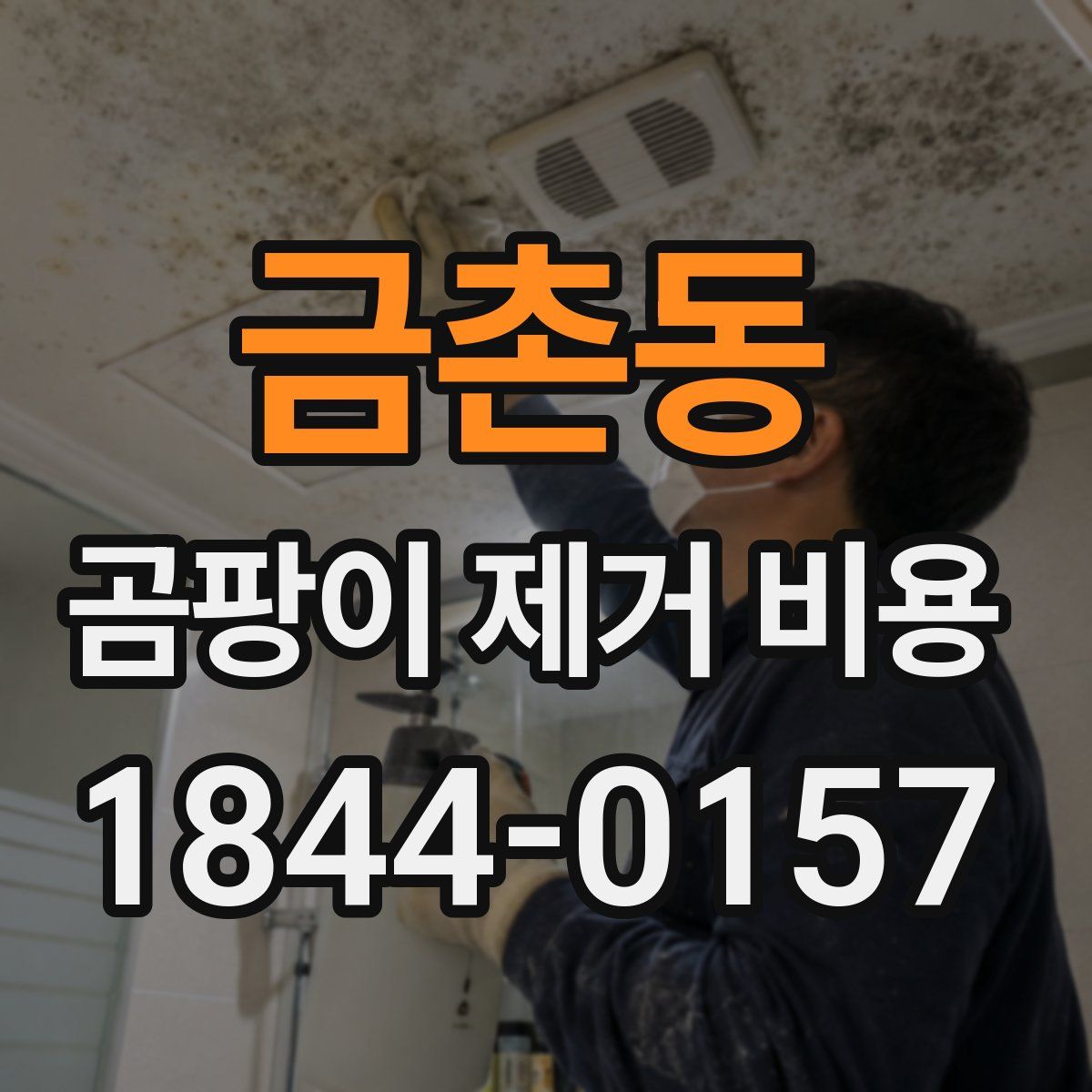 금촌동 곰팡이 제거 비용
