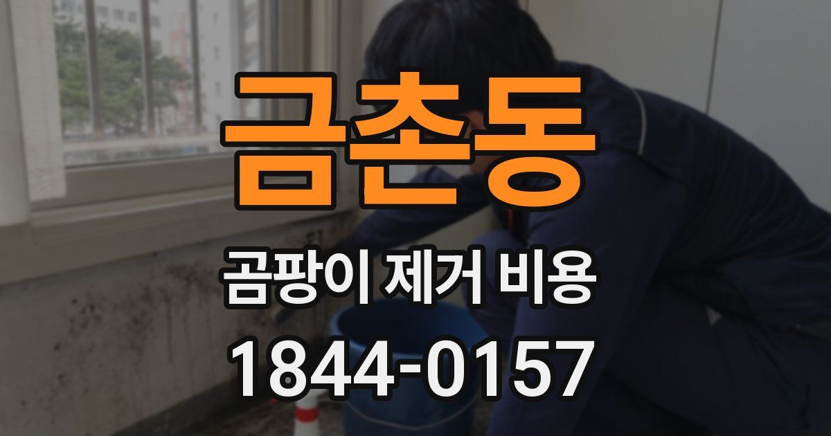 금촌동 곰팡이 제거 비용