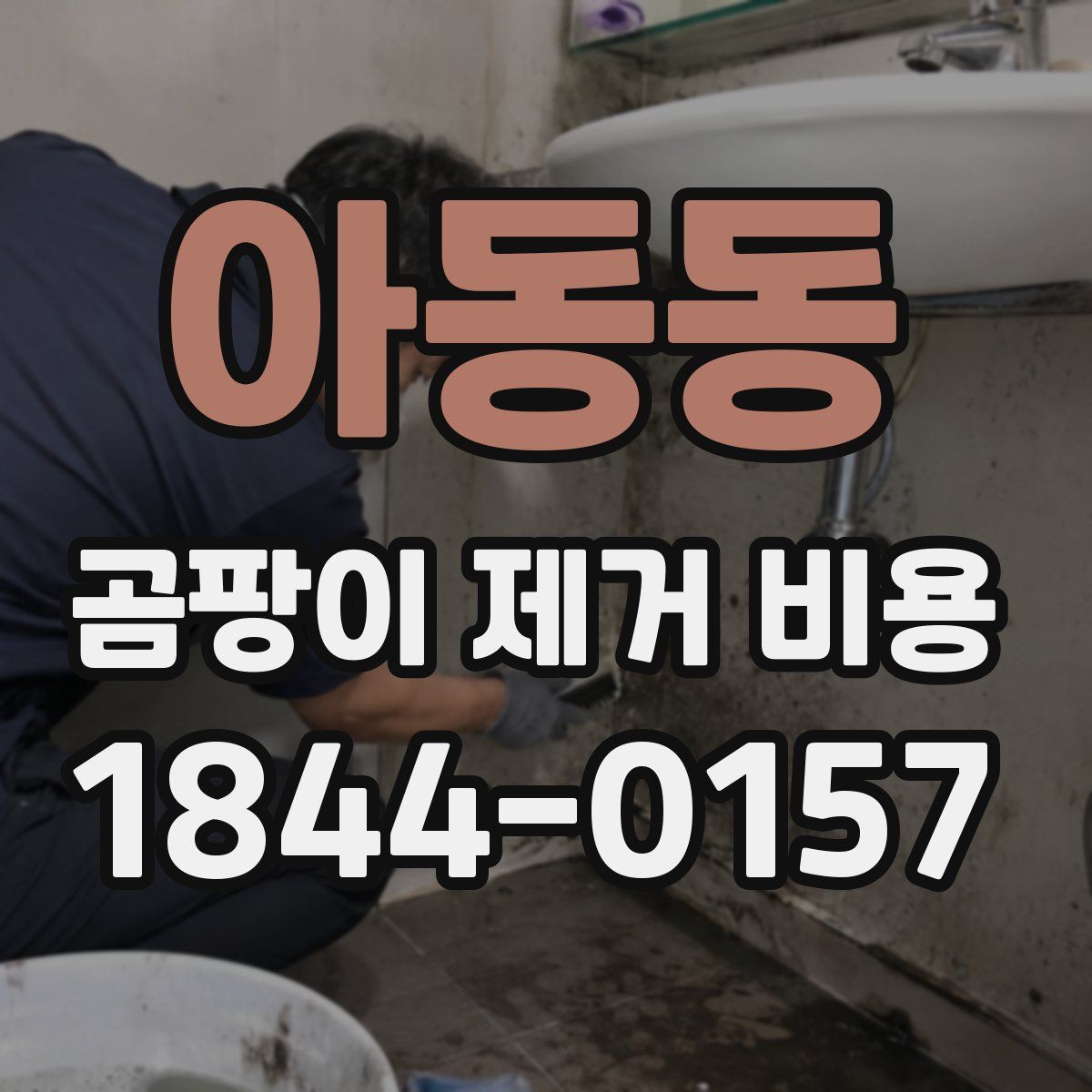 아동동 곰팡이 제거 비용
