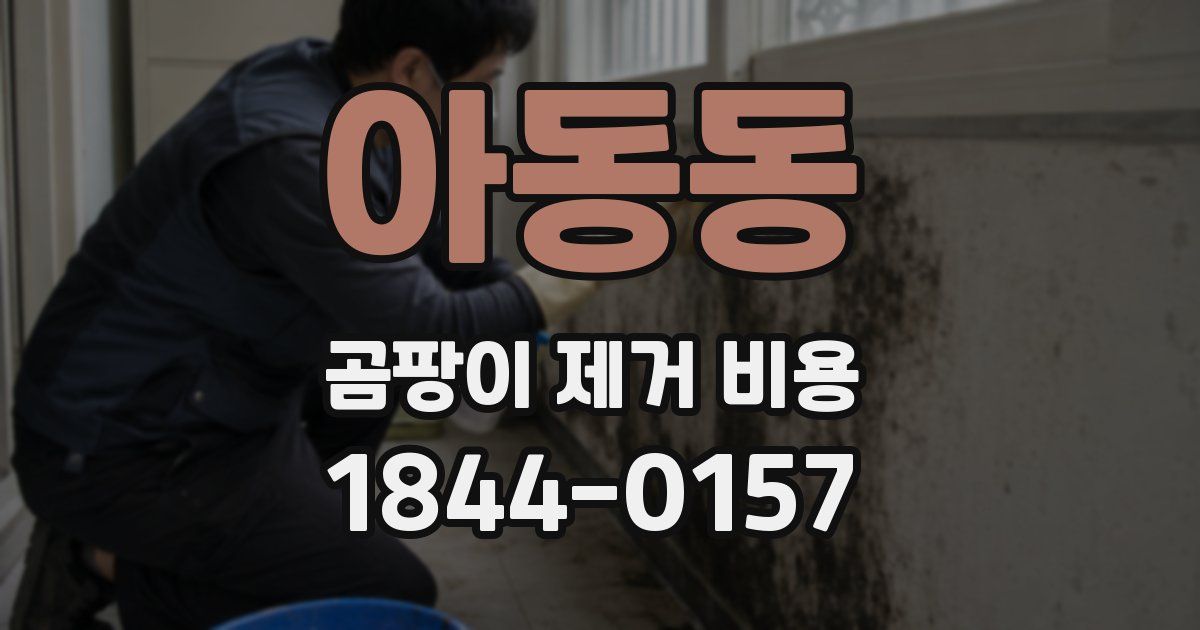 아동동 곰팡이 제거 비용