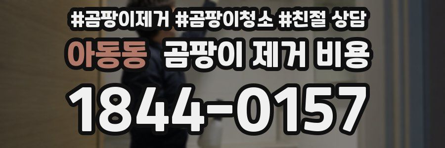 아동동 곰팡이 제거 비용